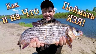 Рыбалка на Фидер! Как, Где и на Что Поймать ЯЗЯ? Один из Способов ЛОВЛИ!