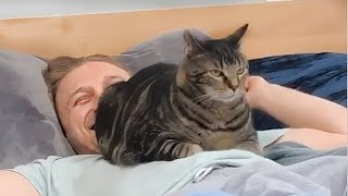 КОТЫ - НАГЛЕЦЫ СМЕШНЫЕ ЖИВОТНЫЕ Я РЖАЛ ПОЛ ЧАСА