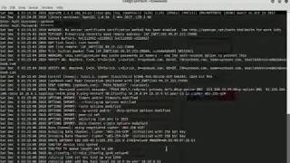Connecting VPN With Kali Linux