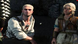 The Witcher 3: Wild Hunt on R9 270x AMD FX6300
