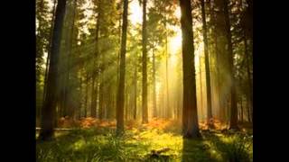 2 Hours of Relaxing Celtic, Meditation and Gothic music