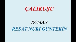 ÇALIKUŞU, ROMAN, ÖZET