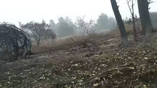 Пожары в Рязанской области 2010