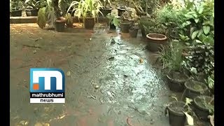 What's Next For Kerala? - Special Program| Doctor@2pm| Mathrubhumi News
