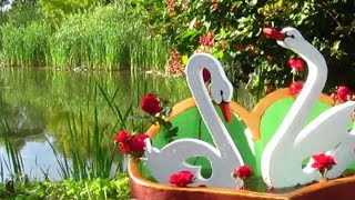 DIY.Лебеди из цемента  своими руками Cement Swans. Cement Craft ideas .