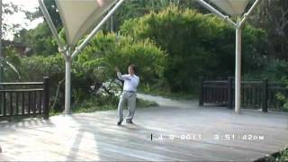 儒鶴拳一代宗師陳開珊老師傳授的儒鶴拳套路中匡重匡示範(非白鶴拳)