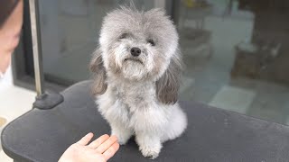 끝까지 손을 주지 말았어야 했다...