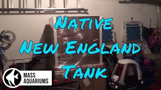 Native New England Aquarium?