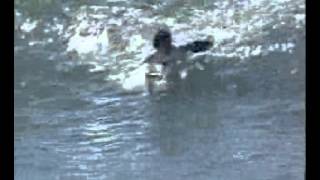 Kelly Slater vs Rob Machado (Boost Mobile Pro, Trestles, San Clemente)