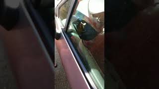 Vapodil Voiture ou comment nettoyer la mousse des portes