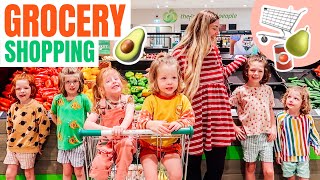 LARGE VEGAN FAMILY GROCERY SHOPPING + HAUL