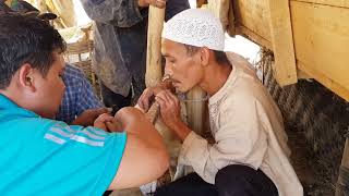 Perawatan Tanduk Domba Garut - Episode 2 #dombalovers