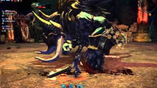 [TERA] Level 20 instance Slayer solo. 4/4