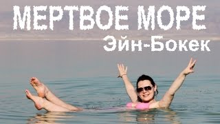 Мертвое море ✡ Эйн Бокек