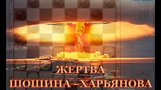 ДЕБЮТ:  ЖЕРТВА ШОШИНА-ХАРЬЯНОВА | ШАШКИ