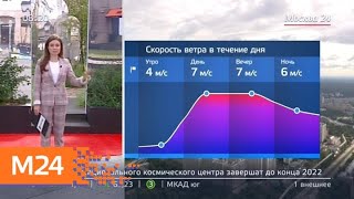 "Утро": какая погода ждет москвичей? - Москва 24