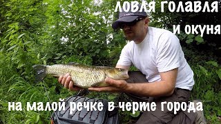 ловля ГОЛАВЛЯ И ОКУНЯ на малой речке в черте города.