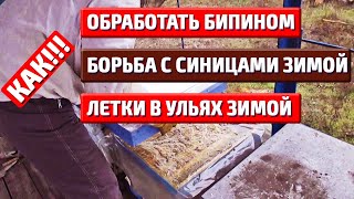 Летки в ульях зимой Очень простая обработка бипином
