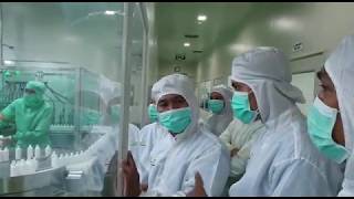 Pabrik MHS || Minyak Herba Sinergi #tiwitanjung #tiwi30hni