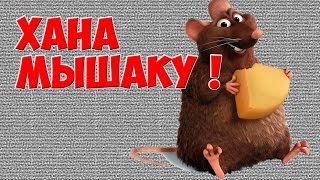Как избавиться от крыс и мышей./ How to get rid of rats and mice