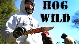 Hog Wild: Hogs hunted for killing sea turtles
