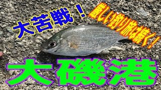 釣り動画ロマンを求めて 123釣目:前編（大磯港）