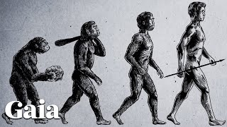 Truth In The Myths Of Giants | Gaia