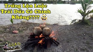 Món Ngon Độc Lạ - Trứng Vịt Lộn Luộc Trong Trái Dừa ngon nhất Miền Tây | unique food | NGÃ NĂM TV