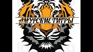 WARFACE КВ: Амурские..Тигры VS. _--фантом--_