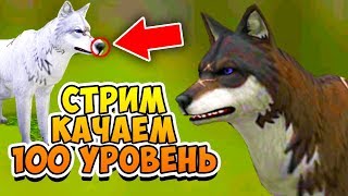 ПРОКАЧИВАЕМ 100 УРОВЕНЬ в игре WildCraft СИМУЛЯТОР ВОЛКА