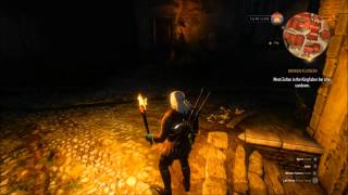 Witcher 3 Wild Hunt Find Triss Merigold House in the Bits in Novigrad