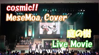 【cosmic!! - 庭の樹 (MeseMoa.) 】 DD Dance Party2019より