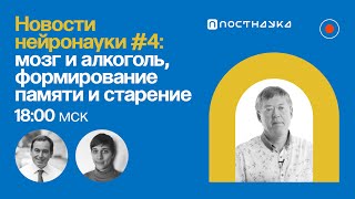 Новости нейронауки #4: мозг и алкоголь, формирование памяти, старение / Вячеслав Дубынин в ПостНауке