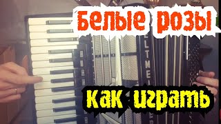 Как играть Белые Розы разбор песни на Аккордеоне Шатунов