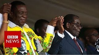Zimbabwe crisis: Who's the 'crocodile'? - BBC News