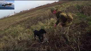 Охота на зайца, ОТЛИЧНОЕ открытие 2019