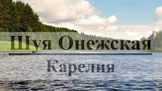 Сплав по Шуе в Карелии (2016)