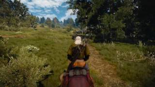 The Witcher 3 - No HUD, Max Settings 1080p/60fps