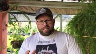 COMO SALVAR UMA ORQUÍDEA MORRENDO| U.T.I PARA SUAS ORQUÍDEAS.