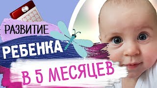 Что умеет ребенок в 5 месяцев? - Развитие ребенка по месяцам (до года) • Insta Irina Gram
