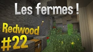Ferme à blé, poulets et minage ! | Episode 22 - Serveur Redwood | Minecraft