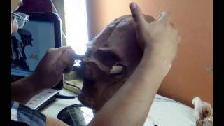 Mascara Depredador Latex (Parte1)| Predator Mask Latex (Part 1)