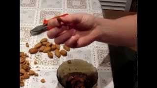 Как расколоть миндальный орех. How to split almonds.