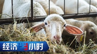 《经济半小时》从“苦甲天下”到安居乐业  20190731 | CCTV财经