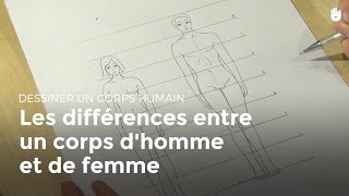 Les Différences Entre Un Corps d'homme et de Femme | Apprendre à dessiner