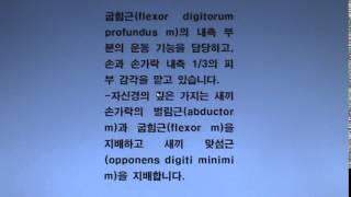 팔꿈치통증/팔저림/손저림:작은 가슴근증후군:DNA프롤로치료(프롤로테라피/프롤로주사치료)- 분당 비수술 통증클리닉