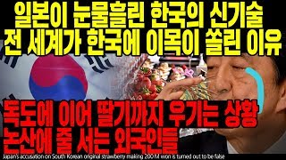 일본이 눈물 흘린 한국의 신기술 전 세계가 한국에 이목이 쏠린 이유 독도에 이어 딸기까지 우기는 상황 논산에 줄 서는 외국인들 [ENG SUB]