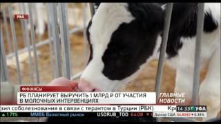 Телекоммуникационное оборудование Башкирии проигрывает в спросе зарубежным. РБК-Уфа 29.06.2016 14-30