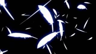 【凛として咲く花の如く】　‐歌詞‐