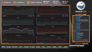 Whalepool Live Bitcoin / Cryptocurrency Trading Stream 24/7/365
